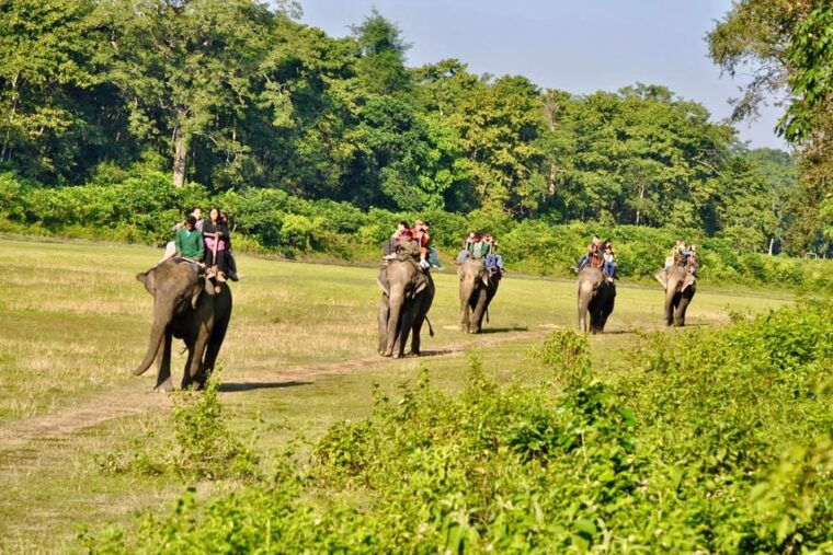 3-days-chitwan-jungle-tour-with-meals-kathmandu-pokhara