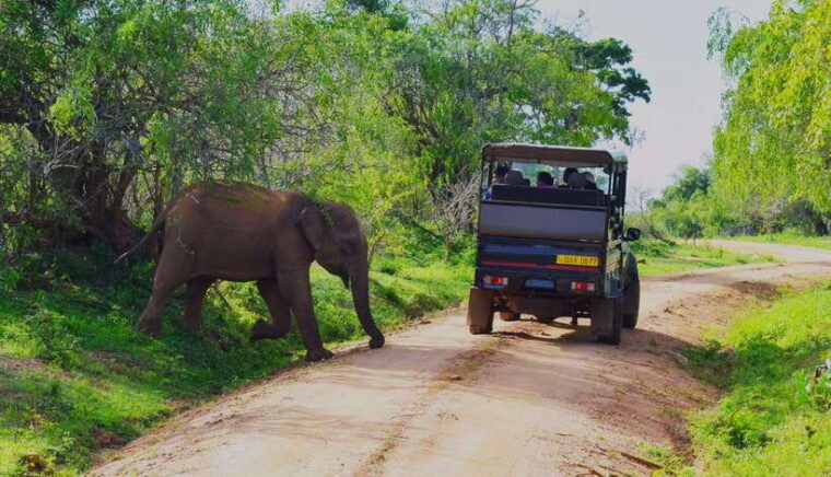 3-days-different-discovery-private-wildlife-tour