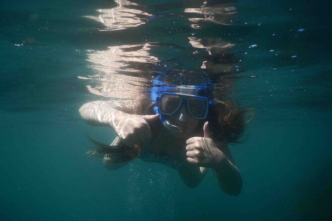 3-Hour Kayak and Snorkeling Experience in Batemans Bay - FAQ