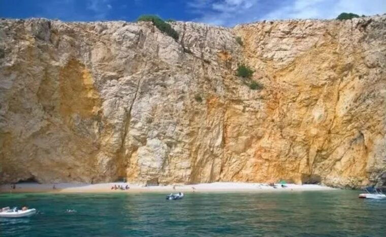 35h-wild-bays-swim-snorkel-with-capt-bobo-public