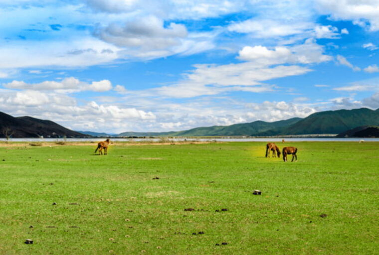 3days-dali-lijiang-highlights-tour-start-from-kunming