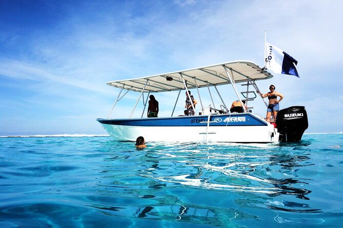 3h dolphin and snorkeling tour in a wild lagoon with Mobydick - Final Thoughts: Is It Worth It?