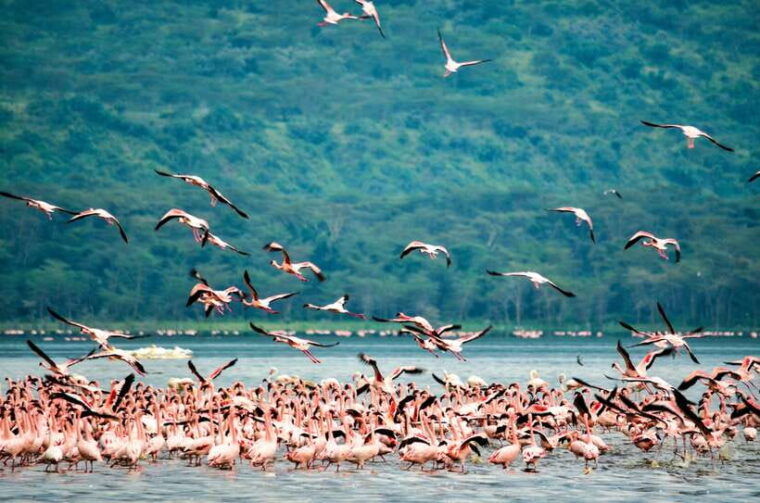4-day-adventure-tour-colombo-to-sinharaja-ella-beyond