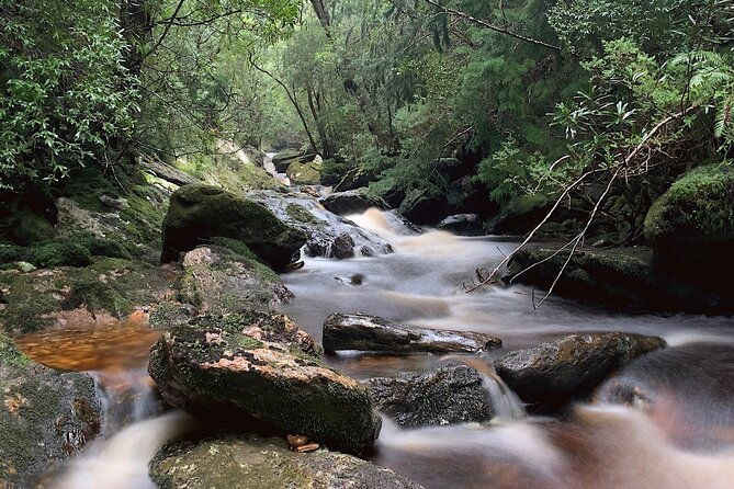 4-Day Private Tasmania Wilderness and Whiskey walks. - In The Sum Up