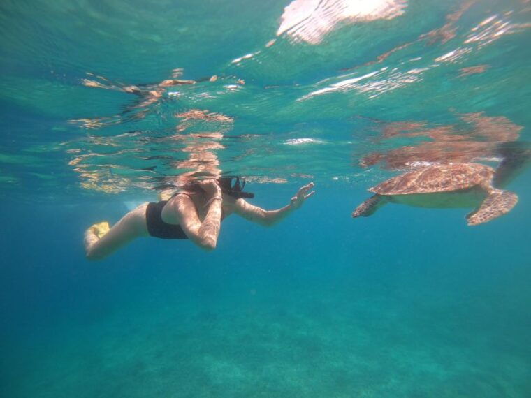 4-hours-snorkeling-3-gilis-trawanganmeno-gili-air