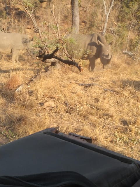 5-days-4-nights-safari-tour-in-madikwe-and-pilanersbeg