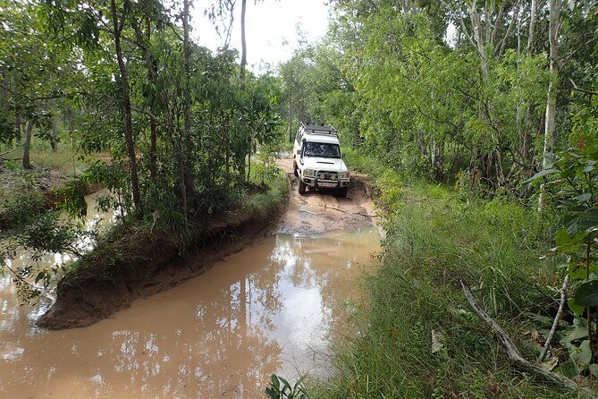 6-Day Best of Cairns Including the Great Barrier Reef, Kuranda and the Daintree Rainforest - Final Thoughts