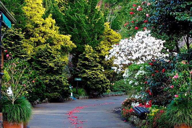 A Day Trip in Auckland City - FAQ