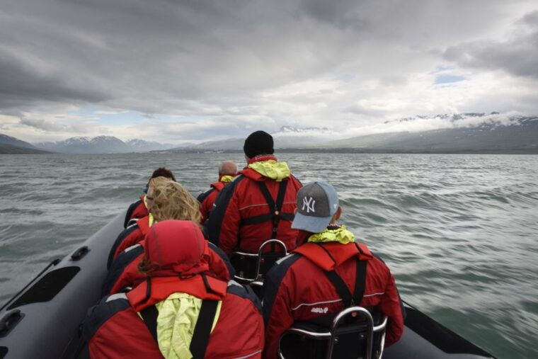akureyri-2-hour-whale-watching-express-by-rib-speedboat