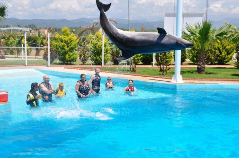 alanya-dolphin-and-seal-show-ticket-with-hotel-transfers
