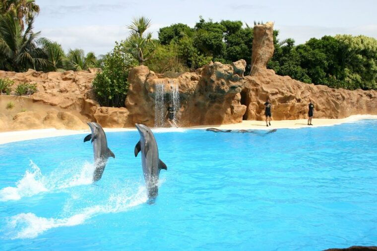 alanya-sealanya-dolphinpark-dolphin-show-tour