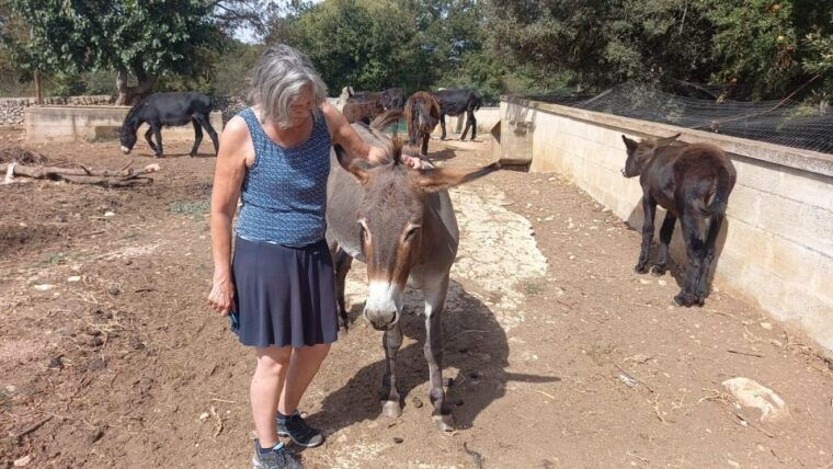 alberobello-e-bike-tour-with-visit-to-a-donkey-farm