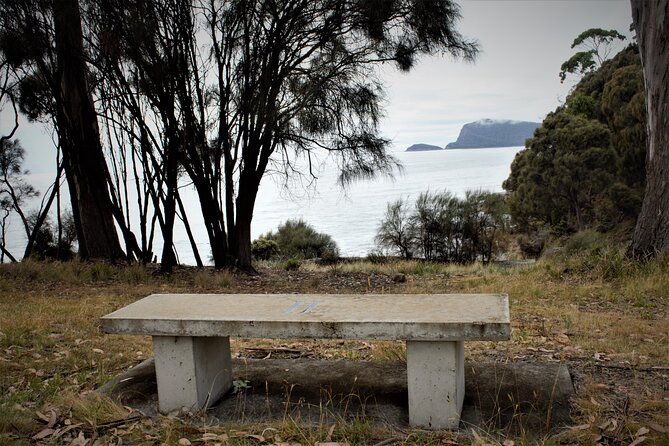 All inclusive Private Bruny Island Discovery Tour - Final Thoughts