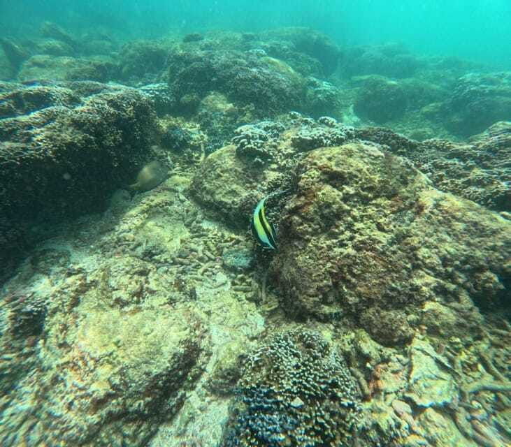 angel-rock-snorkeling-private-trip