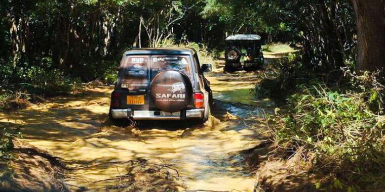 anuradhapura-full-day-wilpattu-national-park-private-safari