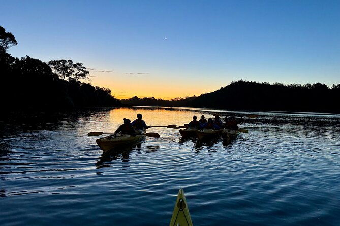 Auckland Bioluminescence Kayak Tour - Who Is This Tour Best For?