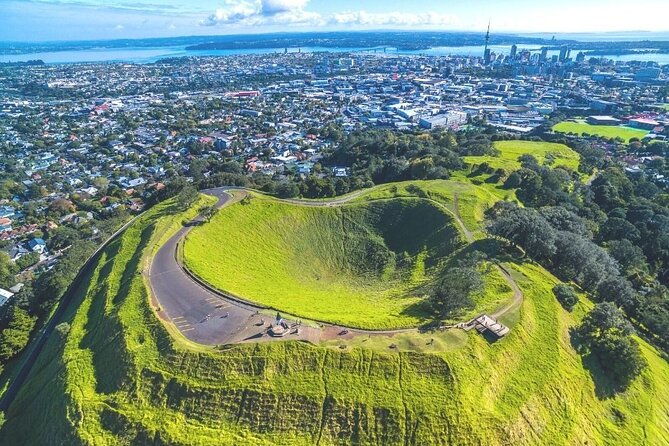 Auckland Private City Tour. Cruise port or Hotel pick up. - Final Recommendation