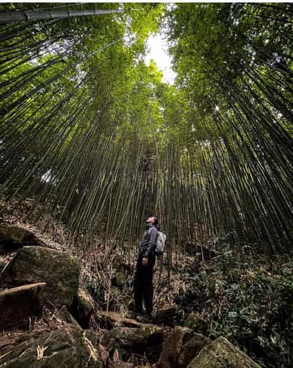 authentic-experiencebambooforestwaterfall-less-tourist