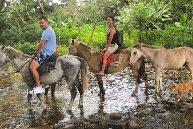 Authentic Fijian Day Tour - FAQ