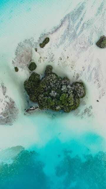 bacalar-cenotes-3-hours-kayak-rental-with-snorkeling-gear