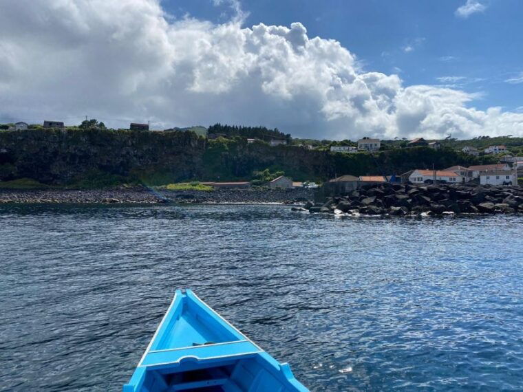 baleen-memory-unforgettable-ride-in-the-waters-of-pico