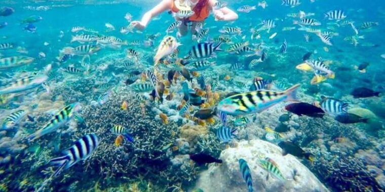 bali-atv-quad-bike-adventure-and-blue-lagoon-snorkeling
