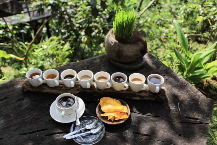 bali-authentic-culinary-street-food-experience-tour