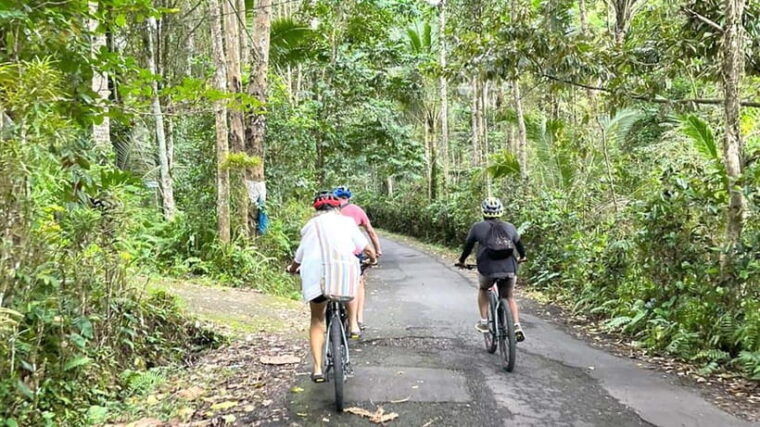 bali-bike-adventures-the-ultimate-cycling-through-paradise