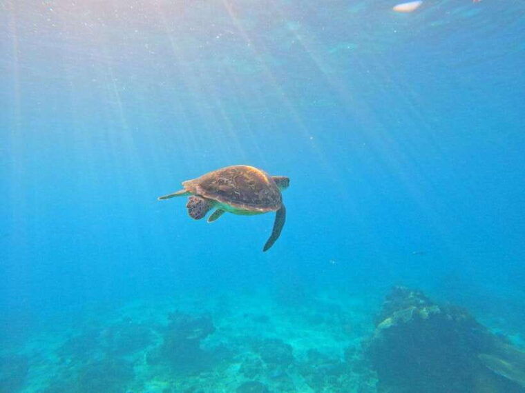bali-blue-lagoon-snorkeling-waterfall-tour