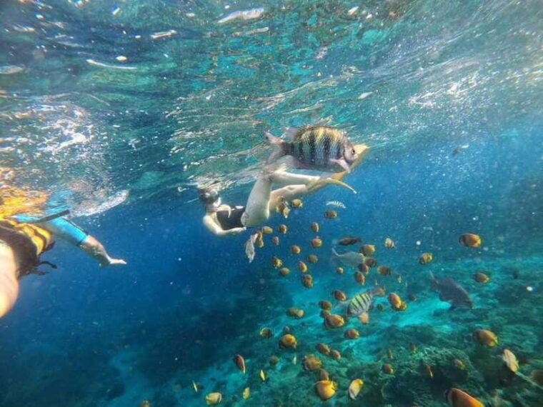 bali-blue-lagoon-snorkeling-with-meal