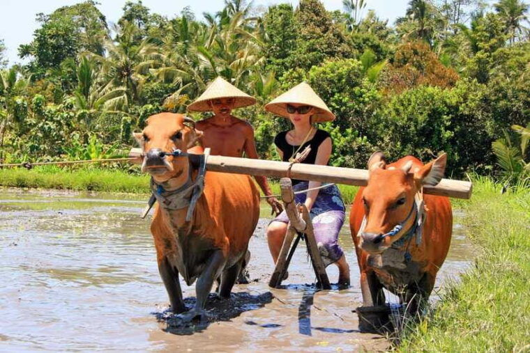 bali-experience-authentic-balinese-life-private-tour