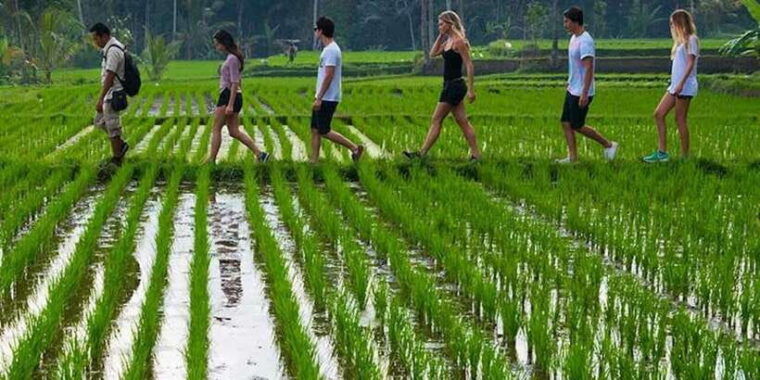 bali-jungle-trek-and-river-rafting-with-lunch