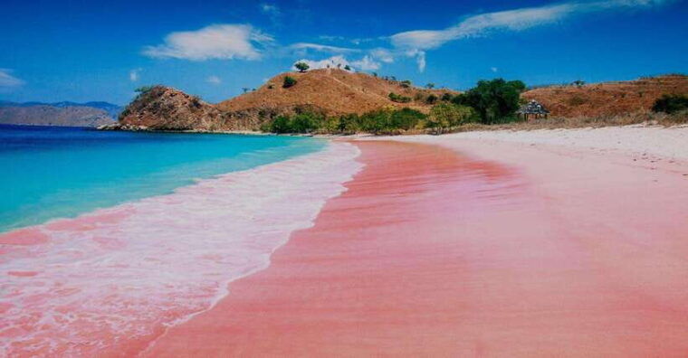 bali-komodo-island-guided-day-trip-with-lunch-and-snacks