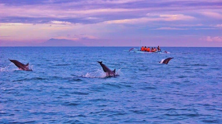 bali-lovina-dolphin-snorkeling-swimming-waterfall-tour