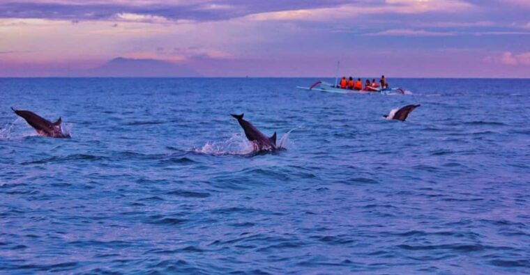 bali-lovina-tour-to-see-dolphin