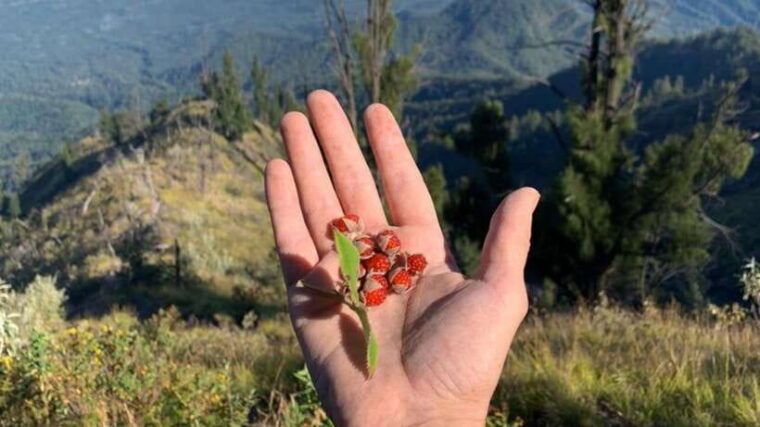 bali-mount-agung-sunrise-trekking-tour-with-hotel-pickup
