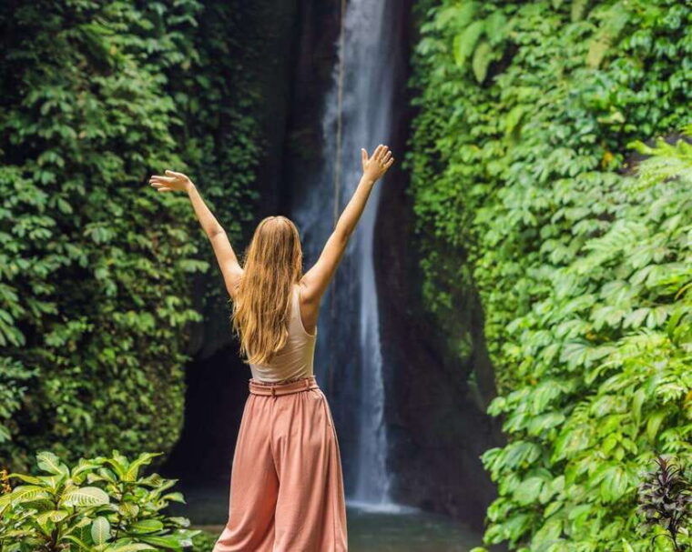 bali-north-bali-tour-with-jatiluwih-ulun-danu-waterfall
