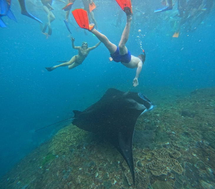 bali-nusa-penida-tour-with-lunch-manta-point-snorkeling