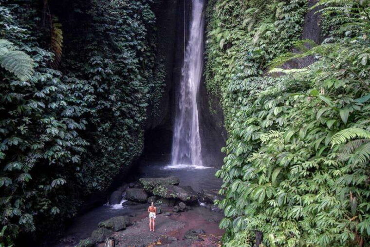 bali-private-waterfall-tour-with-lunch-and-hotel-pickup