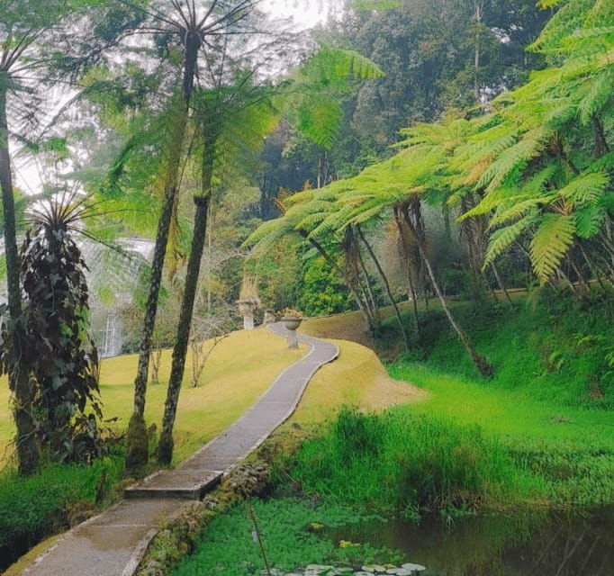 bali-sekumpul-banyumala-waterfall-and-2-destination-stop