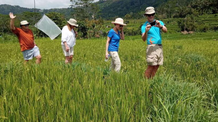 bali-sidemen-trekking-with-besakih-temple-tour-rafting