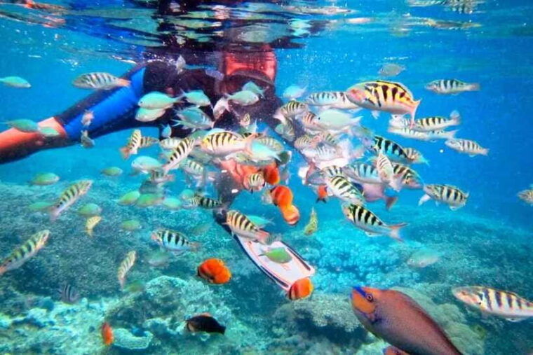 bali-snorkeling-at-blue-lagoon-and-tanjung-jepun-with-lunch