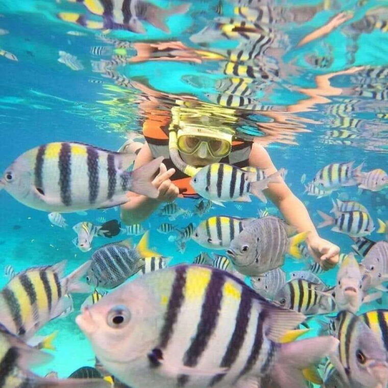 bali-snorkeling-at-two-spots-with-lunch-and-transport