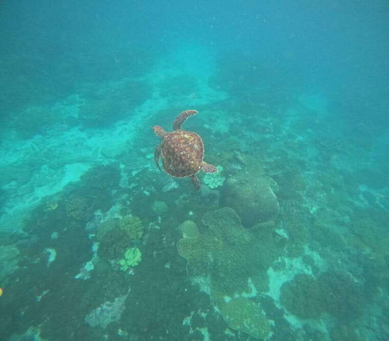 bali-snorkeling-experience-in-blue-lagoon-and-tanjung-jepun