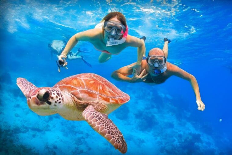 bali-snorkeling-on-2-spots-with-lunch-and-transport