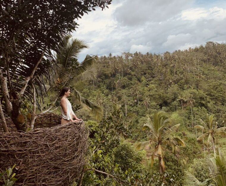 bali-swing-with-falls-rice-terrace-monkey-forest-option
