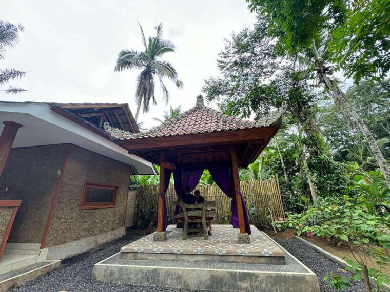bali-temple-visit-with-palm-reader-purification-ceremony