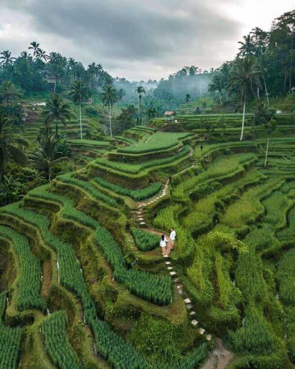 bali-temples-waterfall-and-rice-terrace-guided-tour