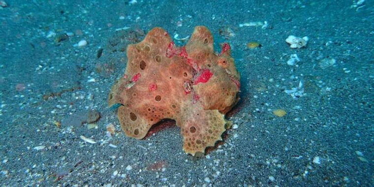 bali-tulamben-usat-liberty-wreck-scuba-diving