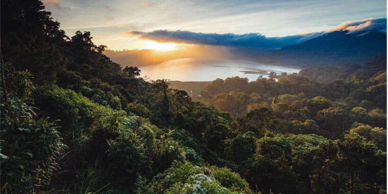 bali-twin-lakes-handara-gates-and-forest-trekking-tour